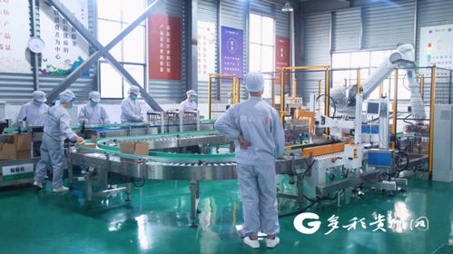 安順155名產(chǎn)業(yè)村長點燃鄉(xiāng)村振興新引擎，農(nóng)副產(chǎn)品暢銷富鄉(xiāng)惠民利企