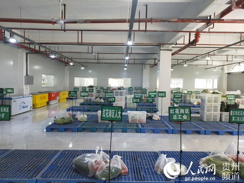 紅花崗區(qū)農(nóng)產(chǎn)品產(chǎn)銷對接智慧服務(wù)中心首日運營成效顯著，發(fā)貨量達40余噸