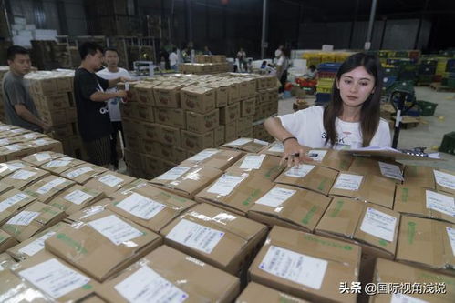 破繭新生 中國十六年農業布局，初級農產品收購迎來歷史性變革