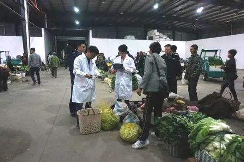 麗水藍城檢測助力松陽縣筑牢農產品源頭安全防線