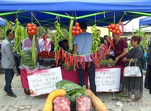 農副產品促銷會 激發市場活力，助力脫貧攻堅與初級農產品收購